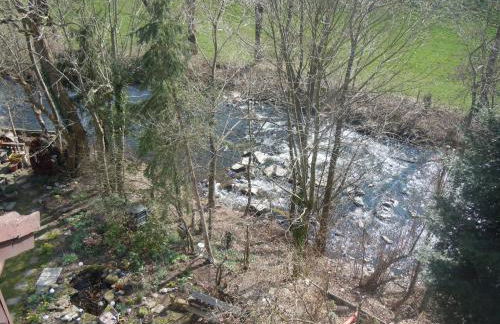 FERIENINSEL AN DER DREISAM - Foto 12