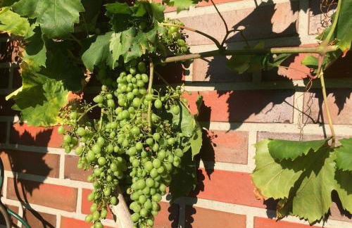 Ferienhaus Torsholt - Foto 22