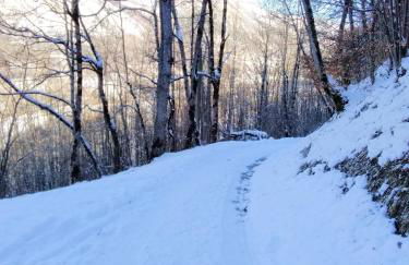 Deux bergeries individuelles rénovées 4x4 et chaînes recommandés par temps de neige, à 2km des remontées mécaniques - Foto 62