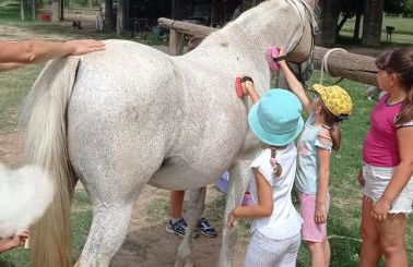 La Tenuta Va Oltre - Foto 57