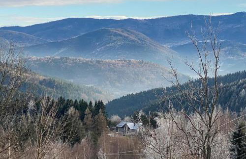 Apartament Buldog - Foto 9