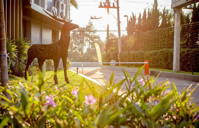 The Star Hill - Foto 32