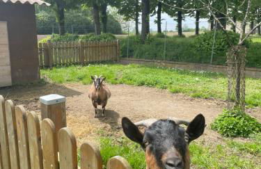 DAL ZARO HOME - Foto 12