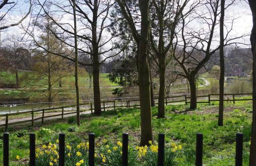 Chandeliers 6 - Photo 30