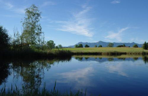 Berghof Walser - Foto 4