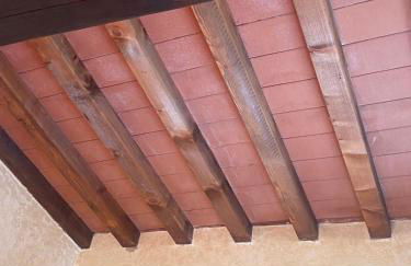 Il polpo blu - Foto 56