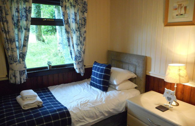 Birch Lodge 22 With Hot Tub, Newton Stewart - Photo 2