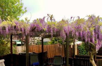 Westbury House - Foto 22