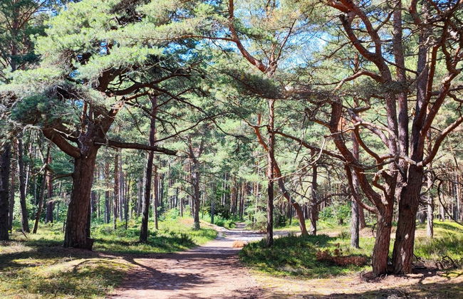 2 bedroom House in Choczewo with swimming pool and garden - Photo 25