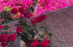 Peace&love-sea studio - Photo 9