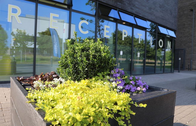 Goldcrest Village Apartments University of Galway - Photo 12