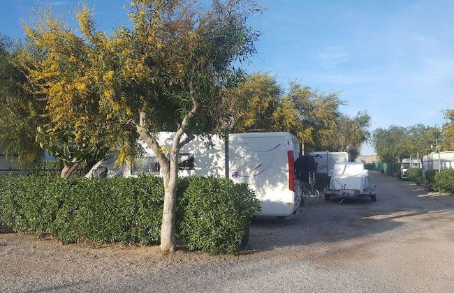 Taiga Almeria Playa - Photo 24