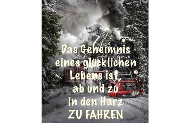 Holiday Home Harzhaus Time out - Photo 29