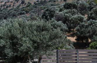 "Kedros Villa" a luxury touch - Foto 11