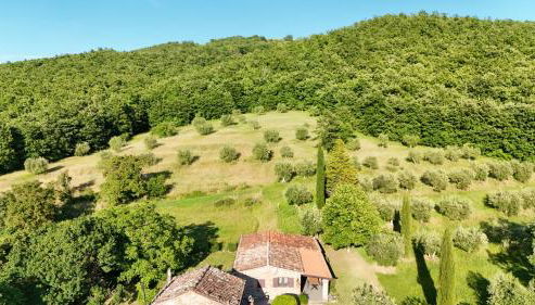 Cà di Mora - Photo 2