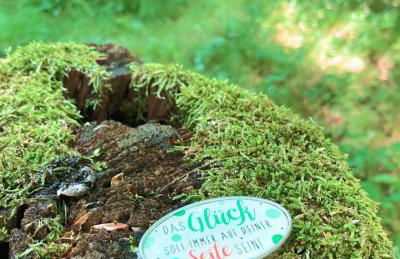 Ferienwohnung-Birlenbach - Foto 17