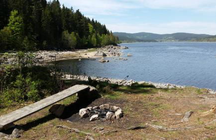 Feldbergblick - Foto 24