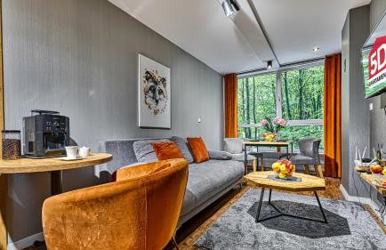 Apartament SPA 10 Resort Kozubnik blisko Szczyrk - 5D Apartments - Foto 6