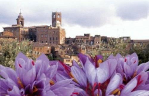 Romantico 36 - Foto 20