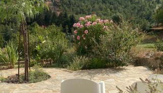 Quinta do Brejo - Foto 3