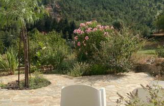 Quinta do Brejo - Foto 3