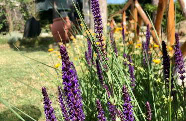 Casale Fonte delle Pietre - Foto 33