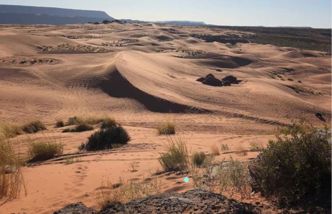 Sand Mountain Dune Buggy Tour - Foto 8