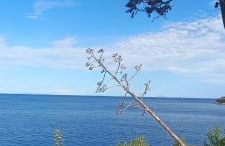 La Maisonnette - Foto 20