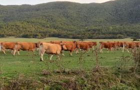 Il Borgo della Zittola - Foto 61