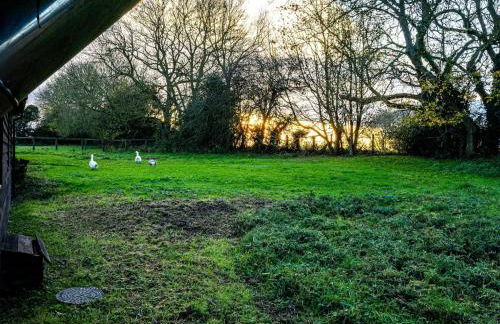 Sheep Shed Rural Farm Cottage in Stelling Minnis Canterbury - Area of Outstanding Natural Beauty - Foto 30