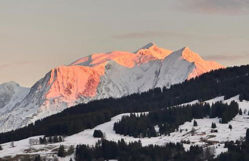 Chalet à Megève-Vauvray - Grands Appartements , vue Mont Blanc - Foto 45