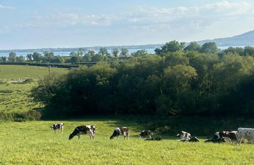 Carlingford View - Foto 23