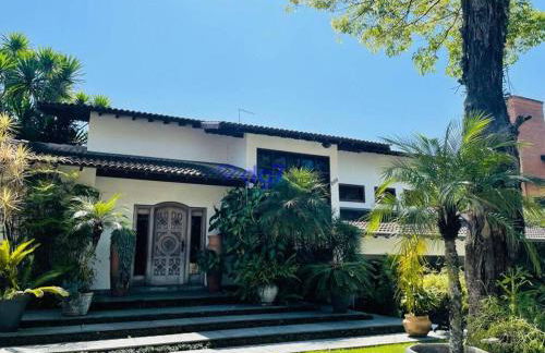 Refúgio dos pássaros - Foto 8