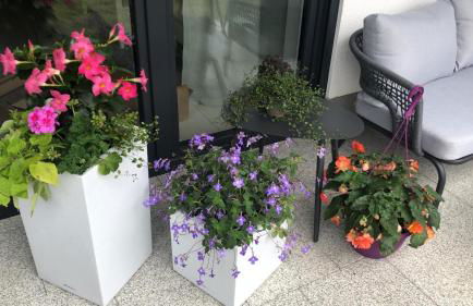 Strandstraße H3W2-EG Kölpinsee - Foto 33