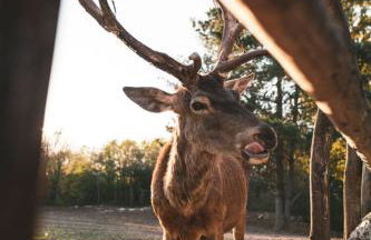 Apartman Barbara - Foto 33