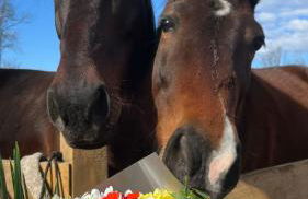 Agriturismo I Leprotti - Photo 10