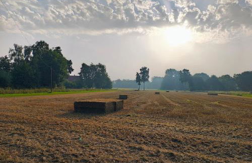 Feldzauber - Foto 30