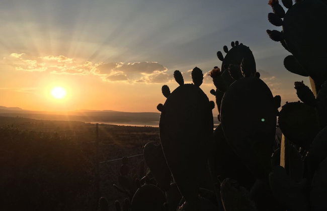 Villa View - Photo 70