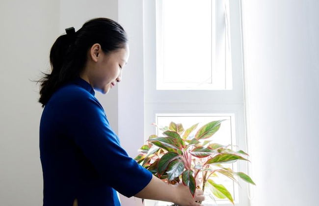 Aladdin Hotel and Apartment - Foto 16