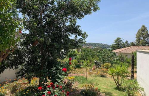 Villa Livia Porticcio piscine 500m plage - Foto 48