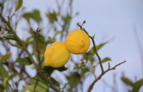 Studio Apartments Andrijana - Foto 84