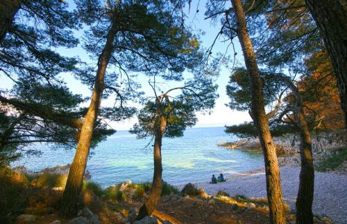 Apartment Ornela - Photo 12