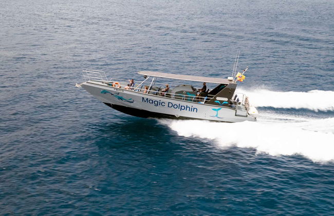 Morro Jable Dolphin & Whale Watching Trip - Foto 6