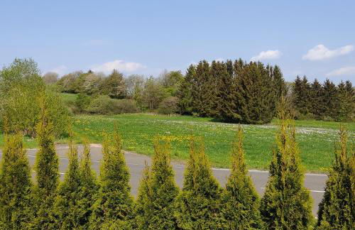Erholung in der Vulkaneifel - Foto 2