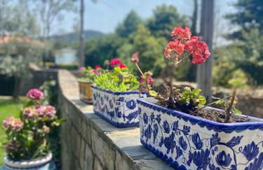 Mar y Montaña - "El Caleyo" - finca privada - Foto 13