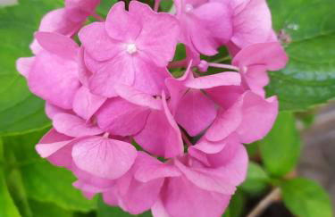 La casa dei nonni - Foto 10