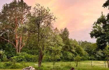 Wiejski domek w środku lasu Osłowo Mielnik - Foto 4