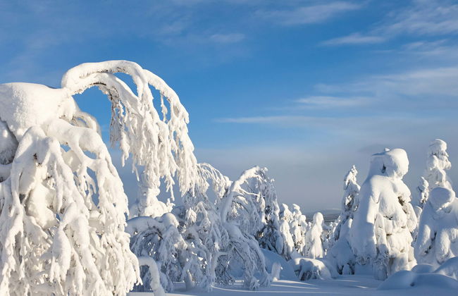 Corso di sopravvivenza al Parco Nazionale Pyhä-Luosto - Foto 1