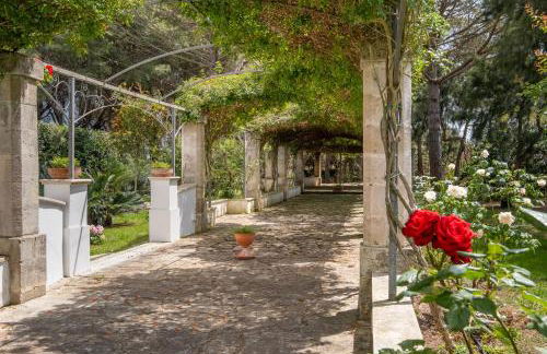 Tenuta Il Carretto - Foto 36