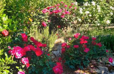 Villa La Moraiola - Foto 46